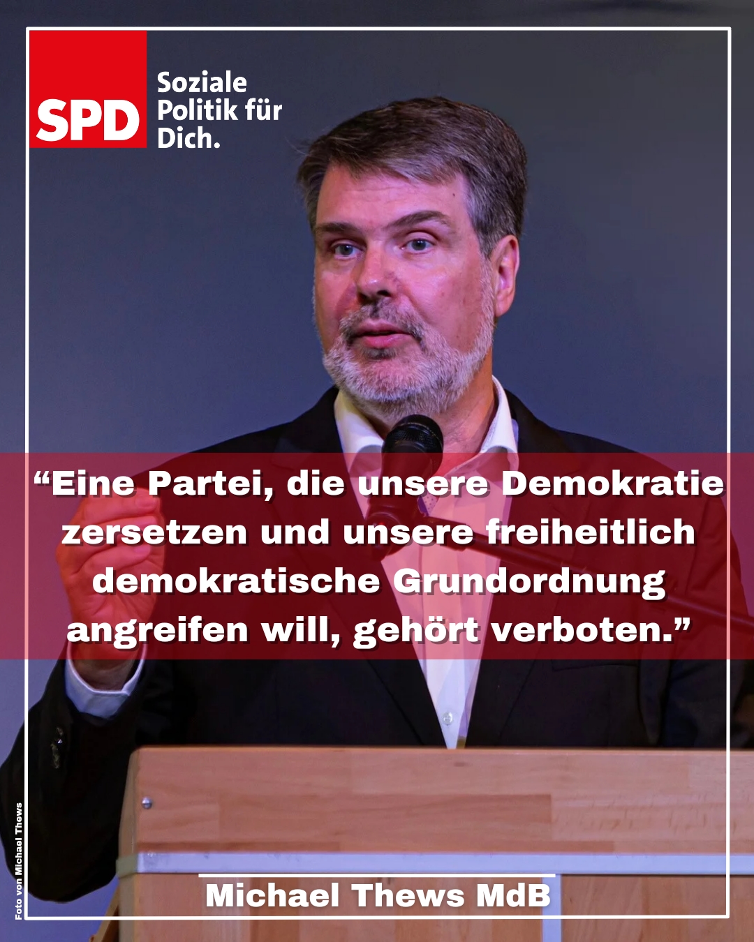 afd-verbot