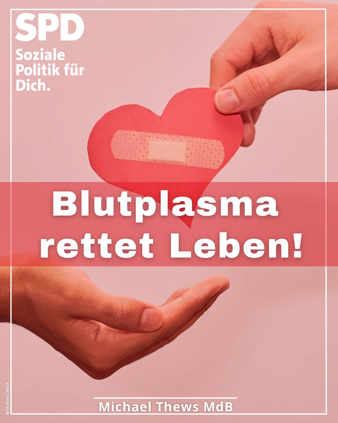 blutplasma
